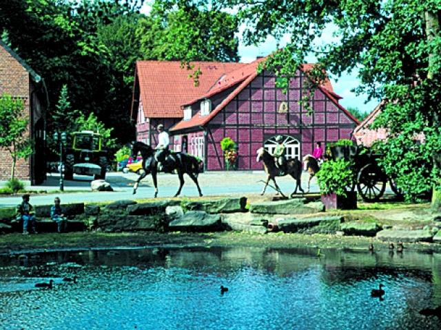 Hof Springhorn – Bild 5