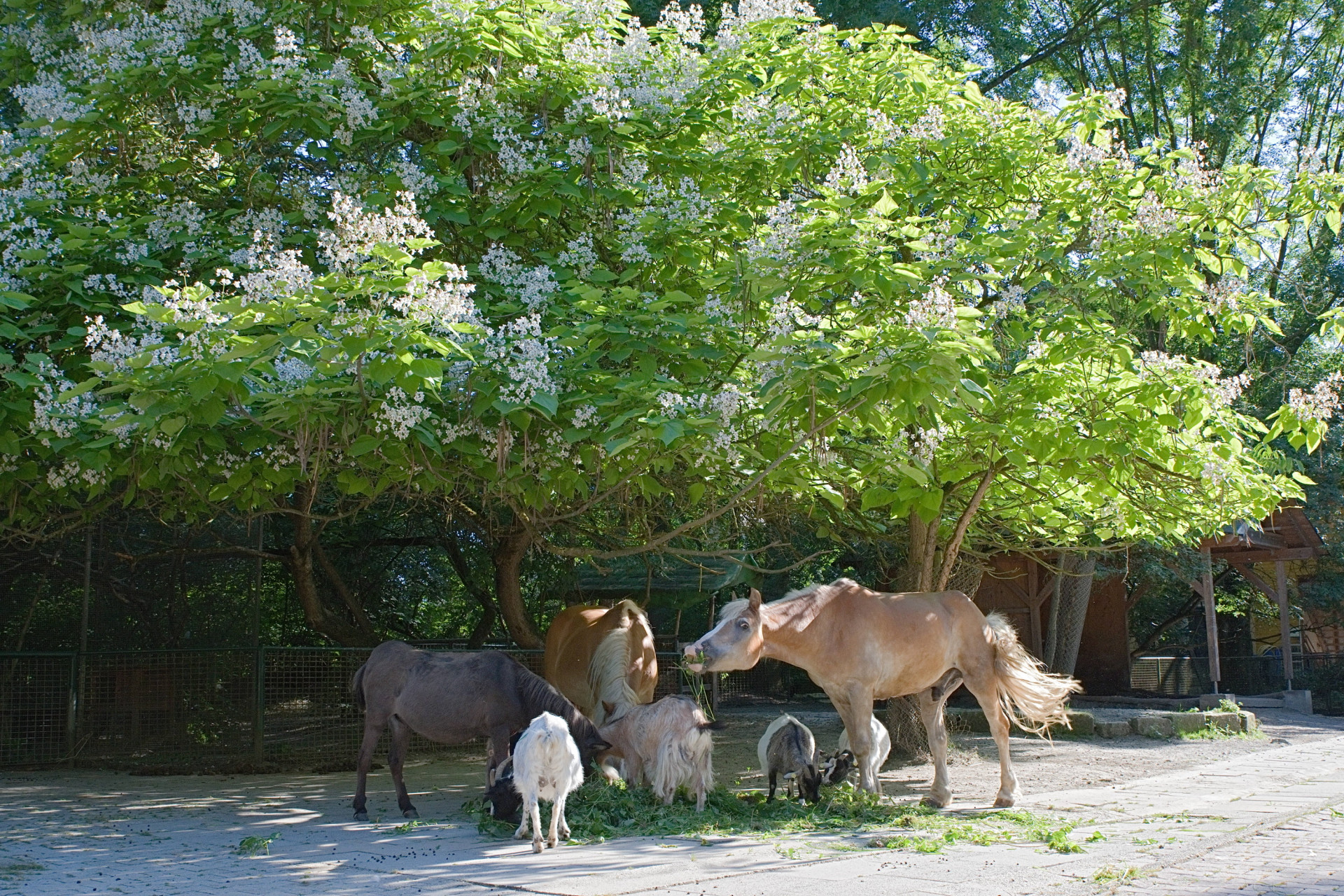 Leintalzoo Schwaigern – Bild 6