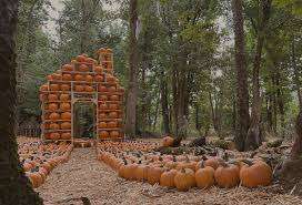 Maan Farms Market and Estate Winery – Bild 2