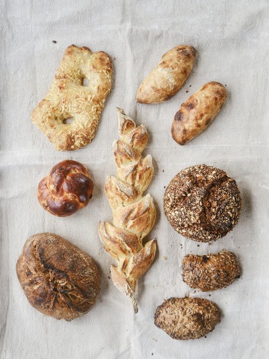 Stadtpark Fürth – Bild 2