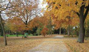 Kannenfeldpark Basel – Bild 5