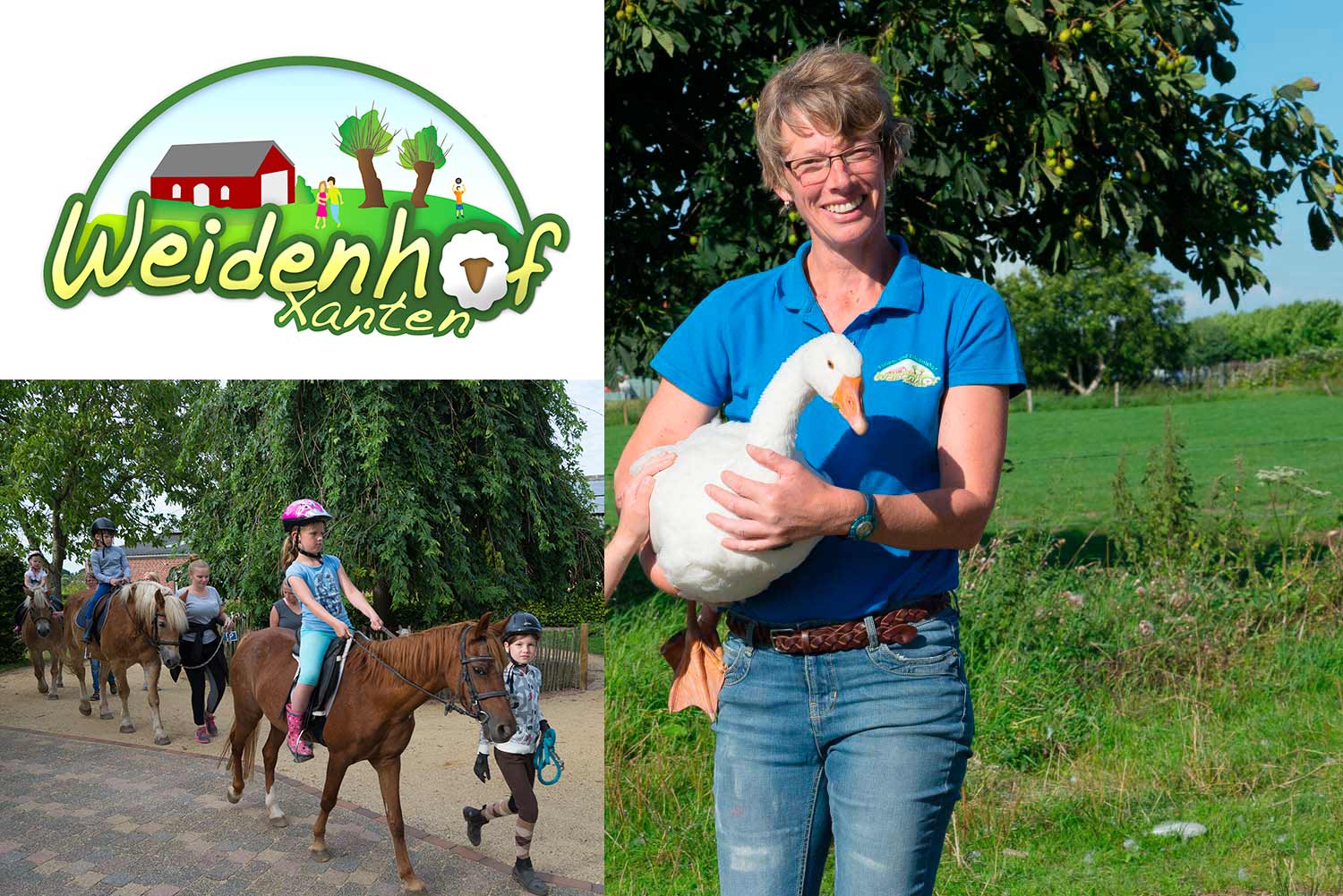 Familie van den Berg Weidenhof-Xanten – Bild 1