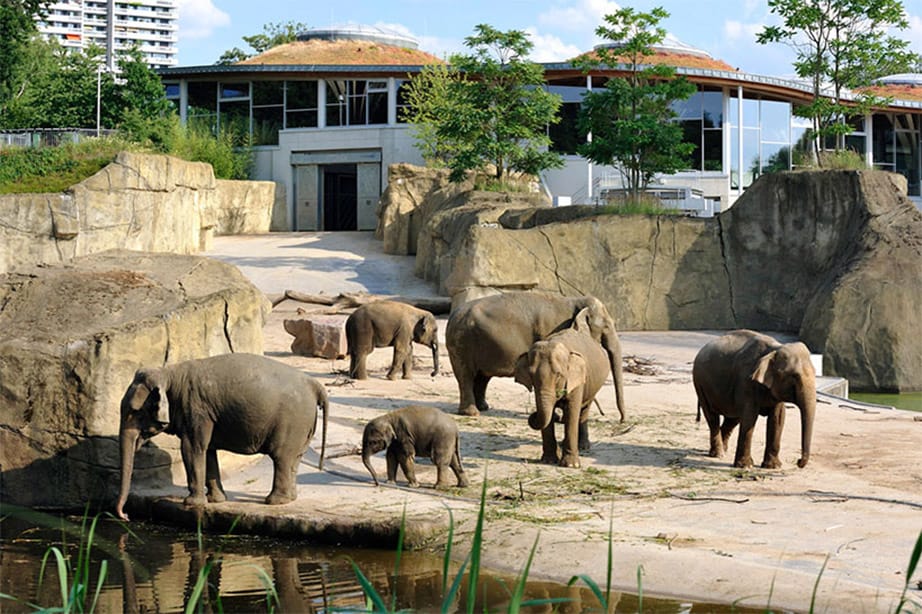 Kölner Zoo – Bild 4