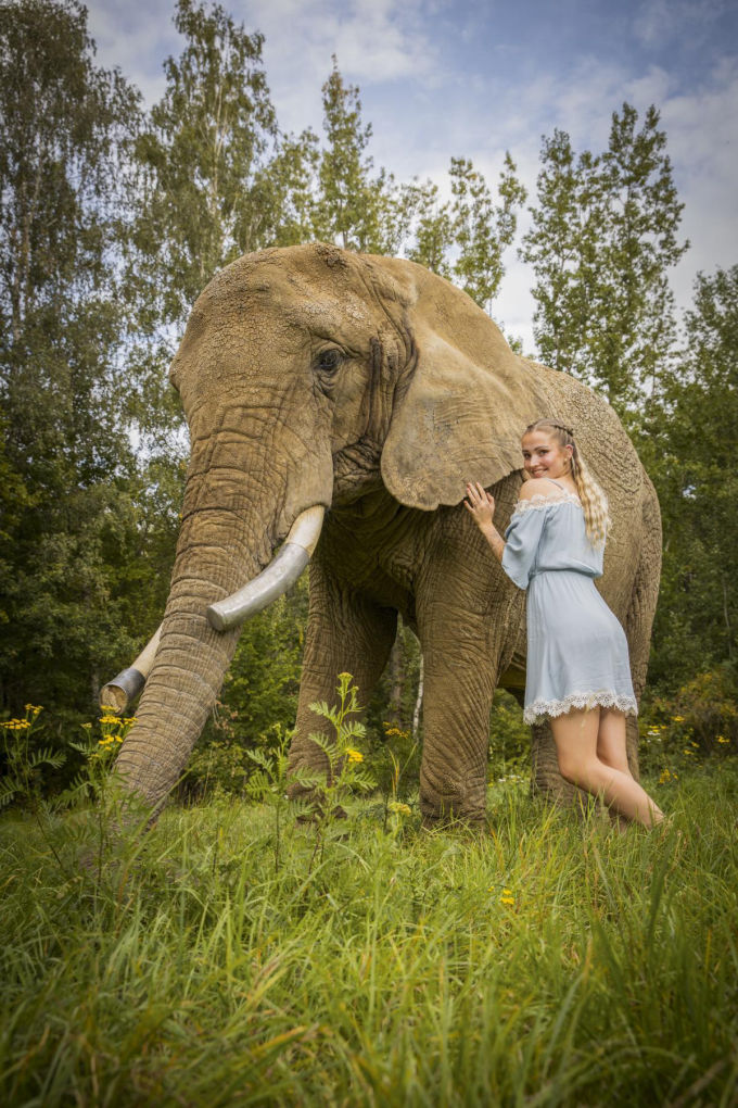 Elefantenreservat und Erlebnispark Starkenberg – Bild 6