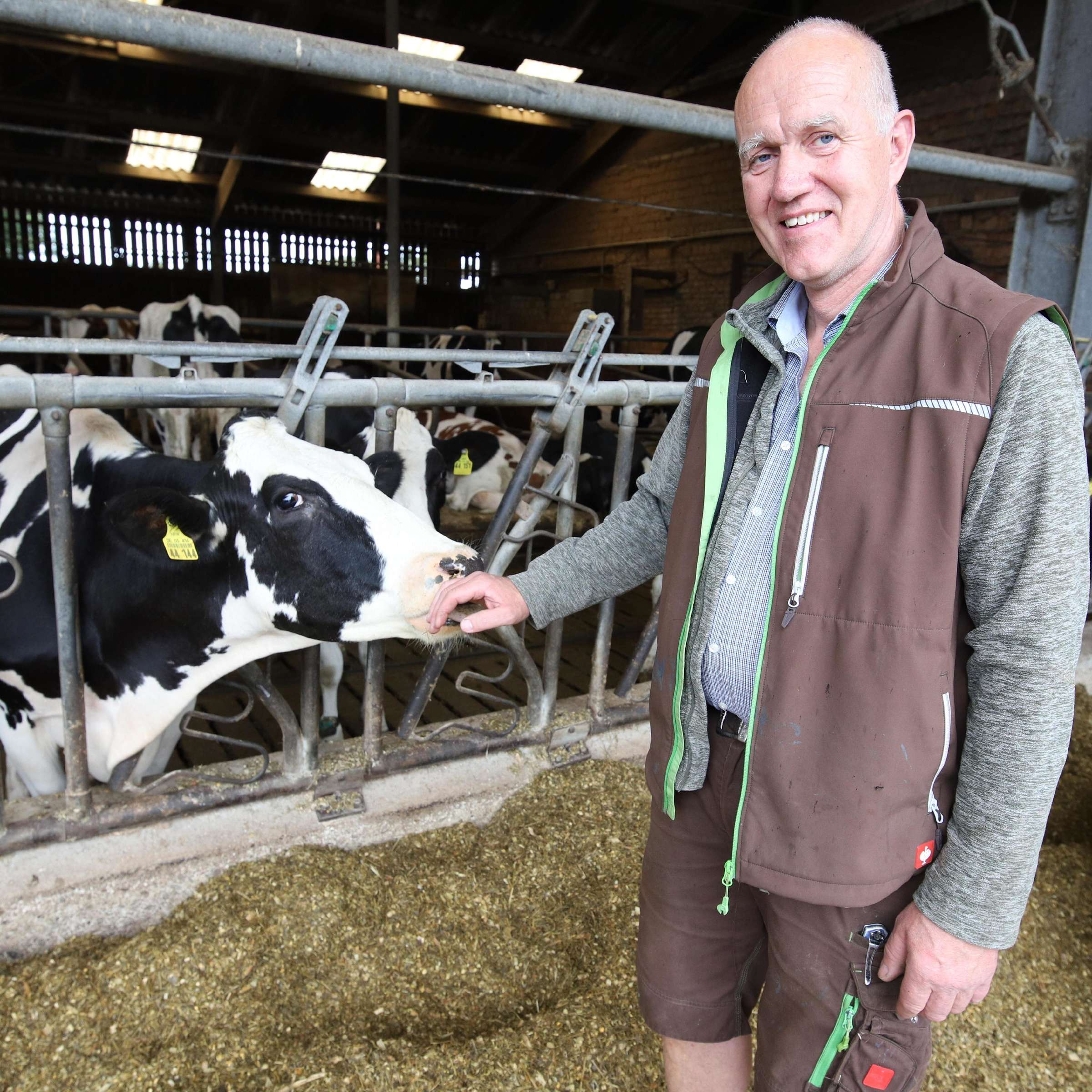 Heinrich Freisfeld – Bild 4