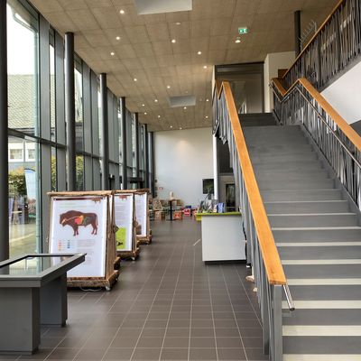 Bürgerhaus am Markt – Bild 3