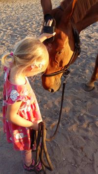 Naturhof am Bromberg – Bild 2