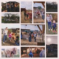 Naturhof am Bromberg – Bild 3