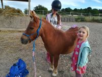 Naturhof am Bromberg – Bild 4