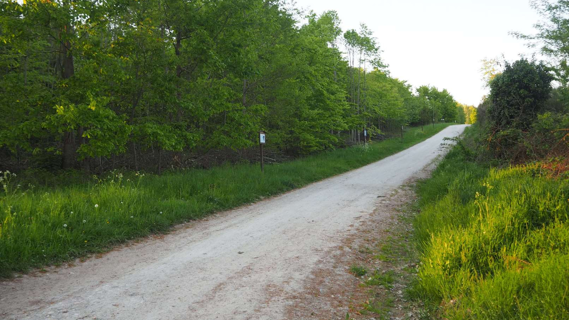 Walderlebnispfad Lieser – Bild 2