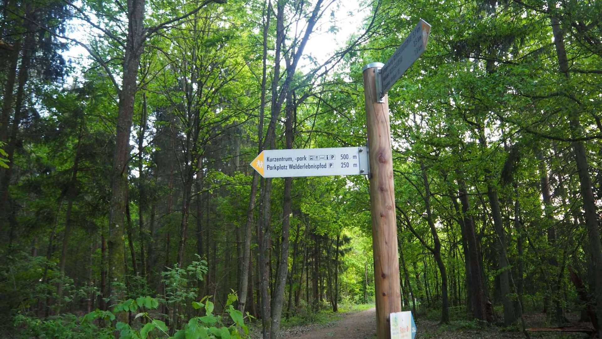 Walderlebnispfad Lieser – Bild 3