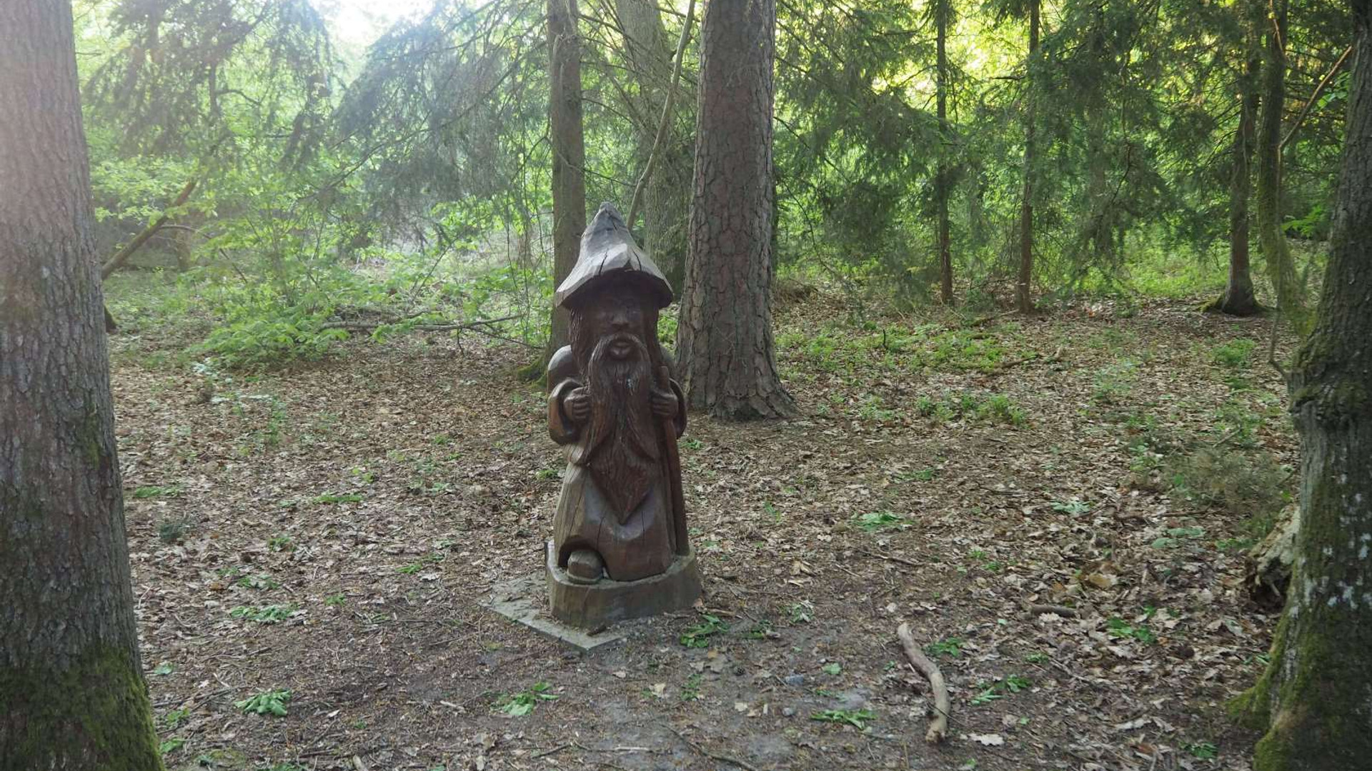 Walderlebnispfad Lieser – Bild 5