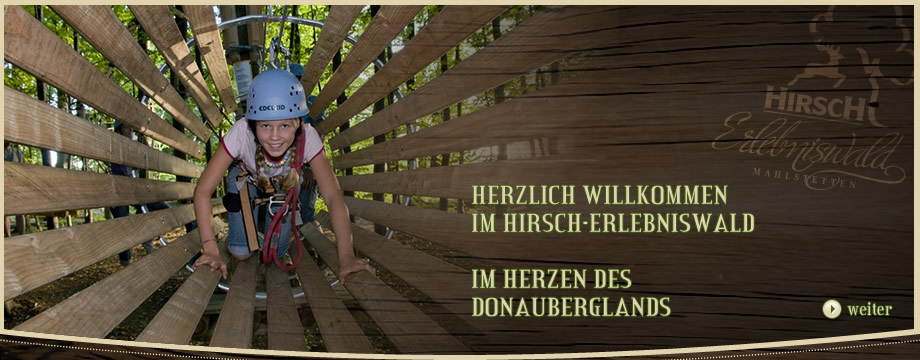 Kletterpark Hirsch-Erlebniswald – Bild 5