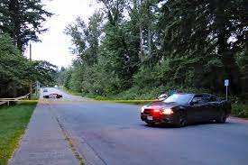 Larch Park – Bild 3