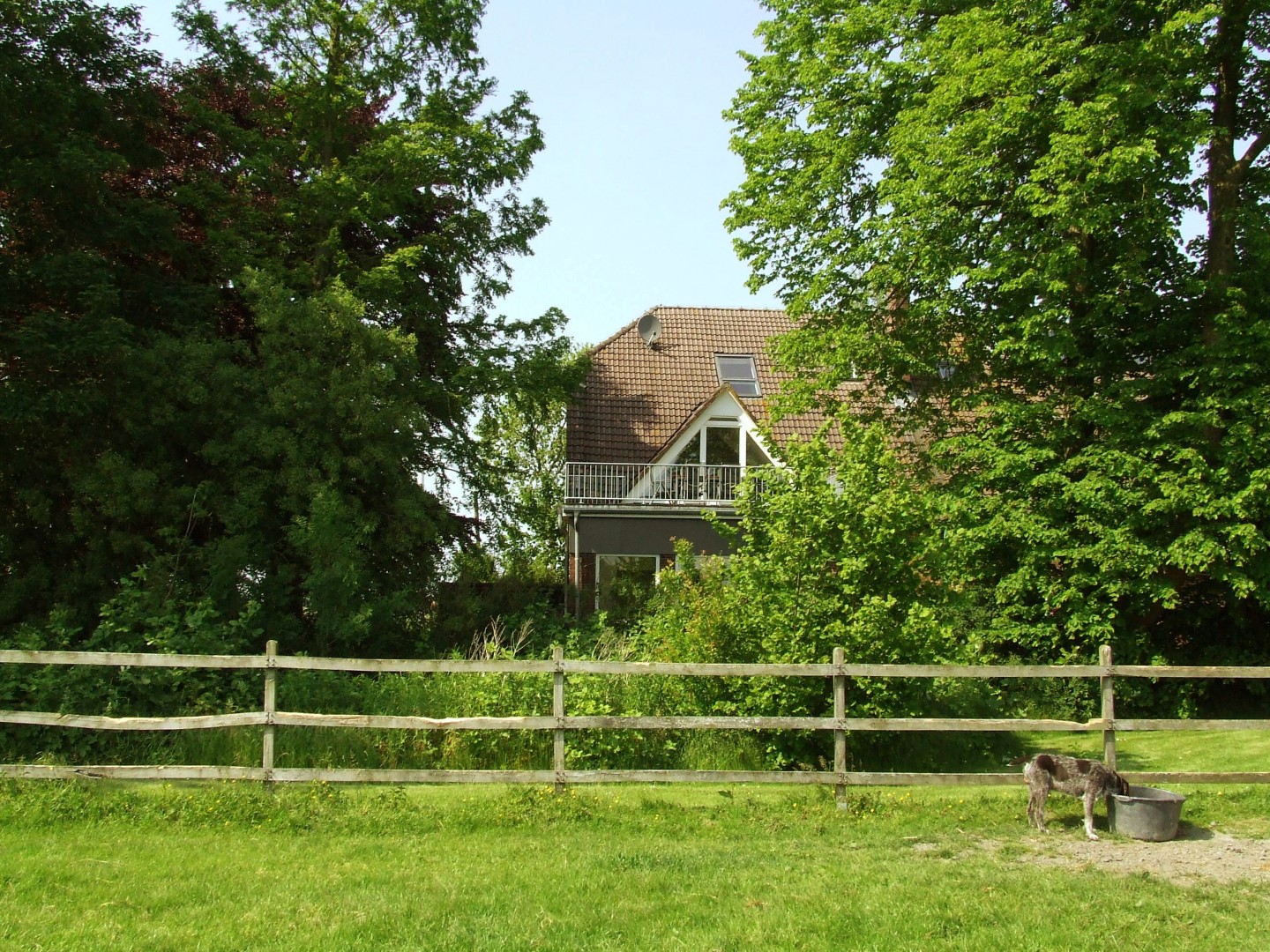 Ferien auf dem Adlershof – Bild 6