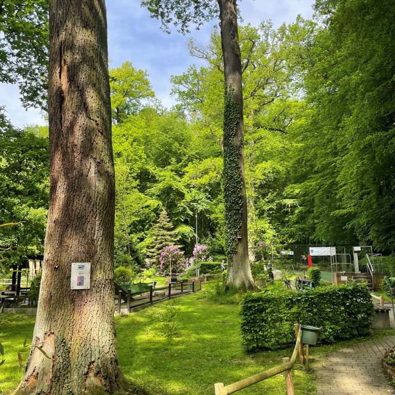 Minigolfplatz Loose – Bild 3