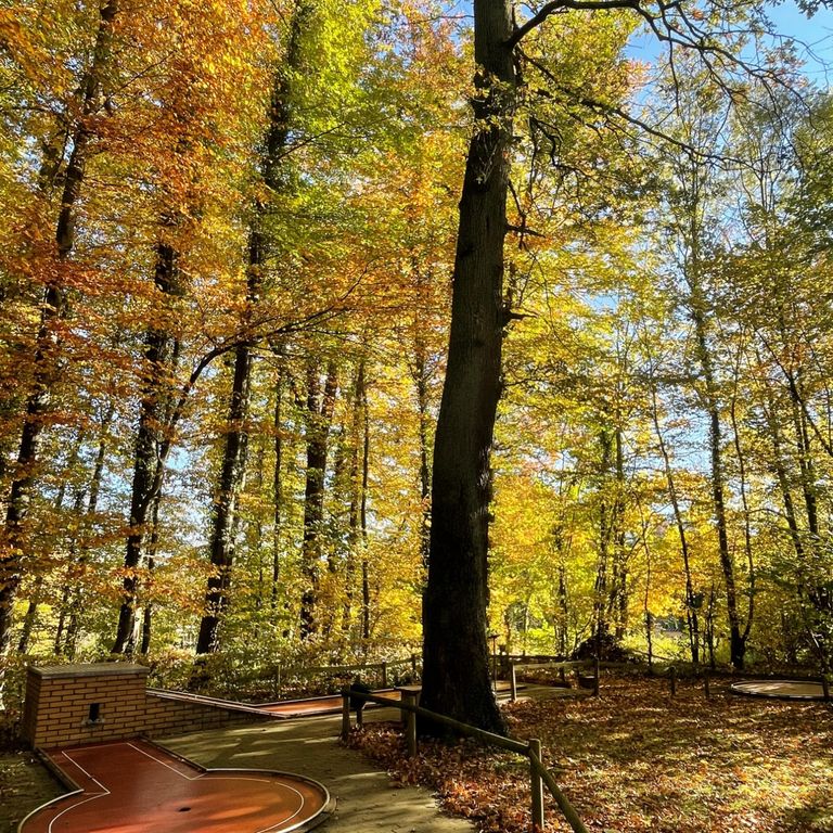 Minigolfplatz Loose – Bild 5