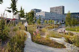 Quartierpark Eisbahnweg – Bild 4