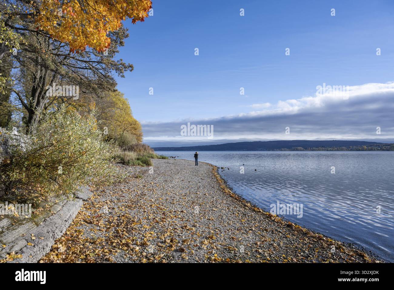 Mettnaupark – Bild 4