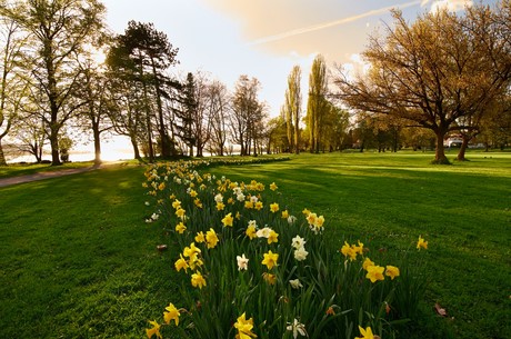 Mettnaupark – Bild 6