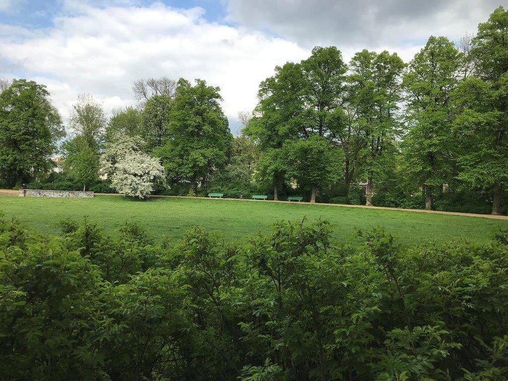 Rosenwiese – Bild 4