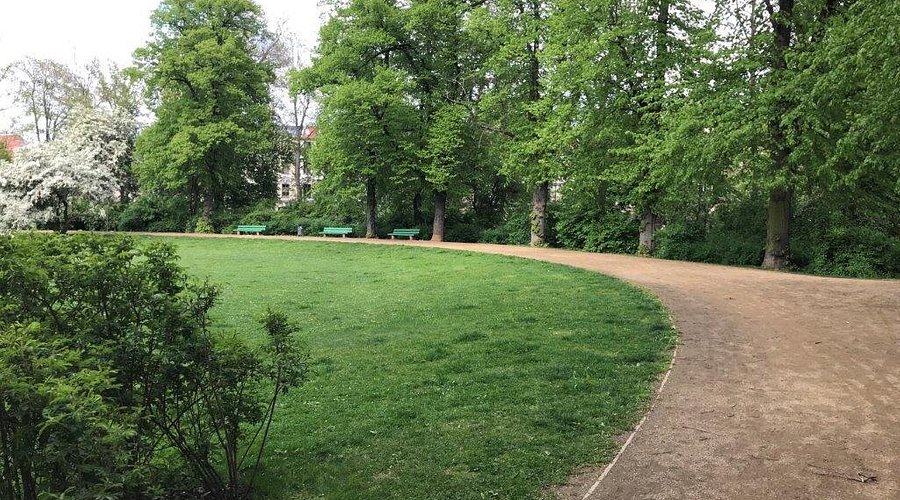 Rosenwiese – Bild 5