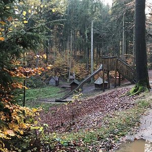 Rosenwiese – Bild 6