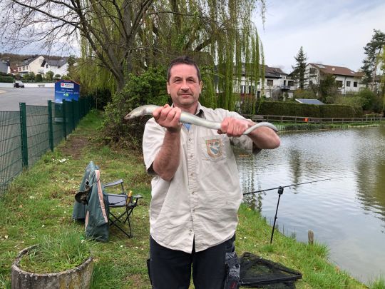 Teichanlage Oberrosbach – Bild 3