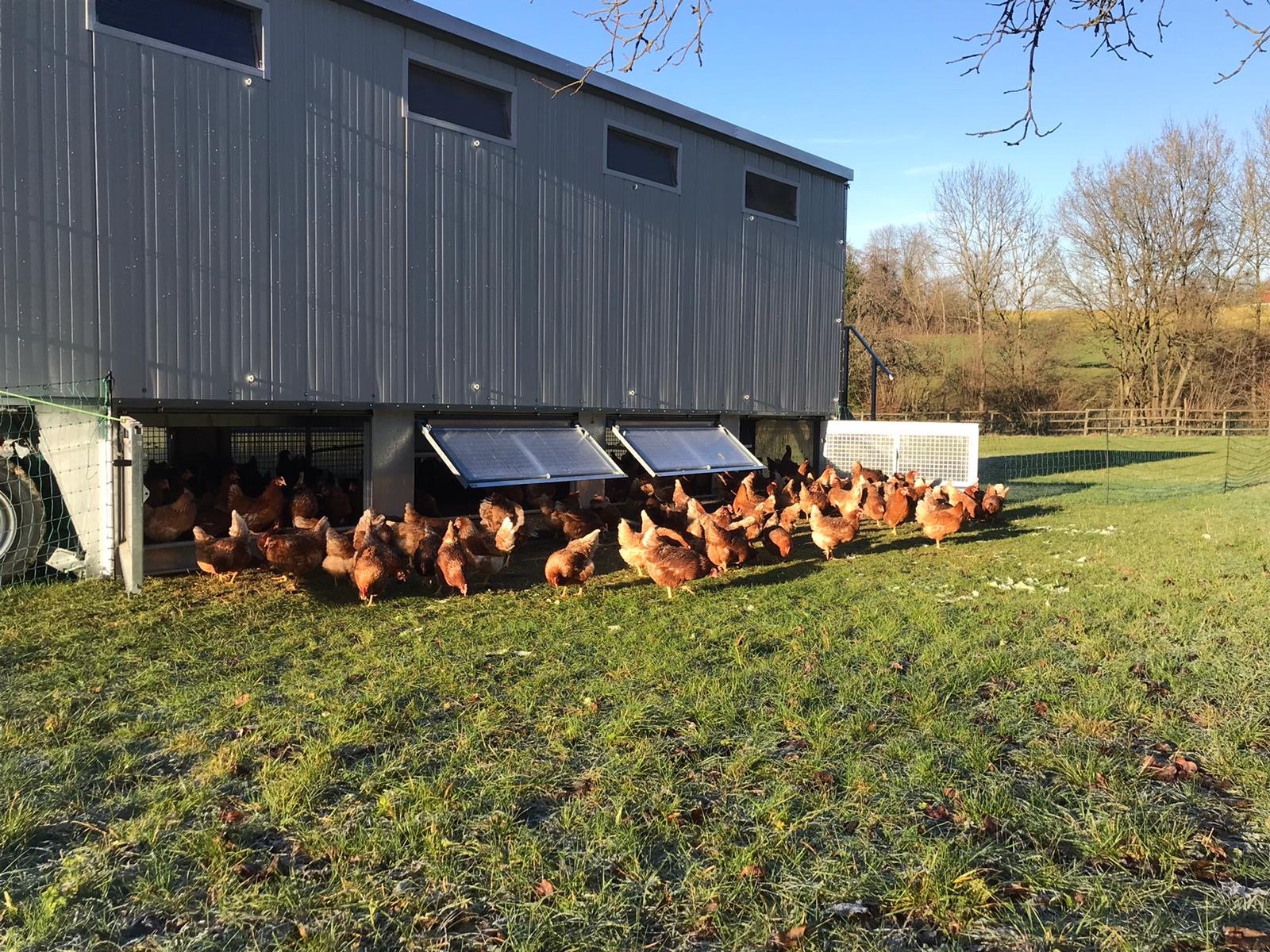 Hofladen - Hoflädle am Oberholz – Bild 4