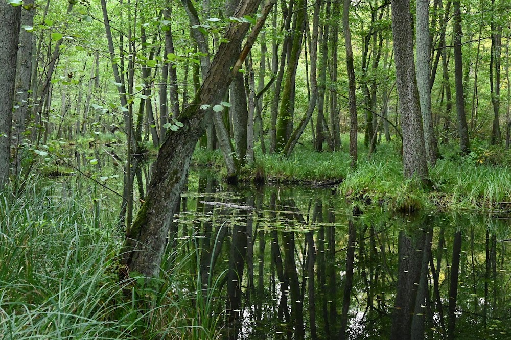 Naturpark Barnim – Bild 1