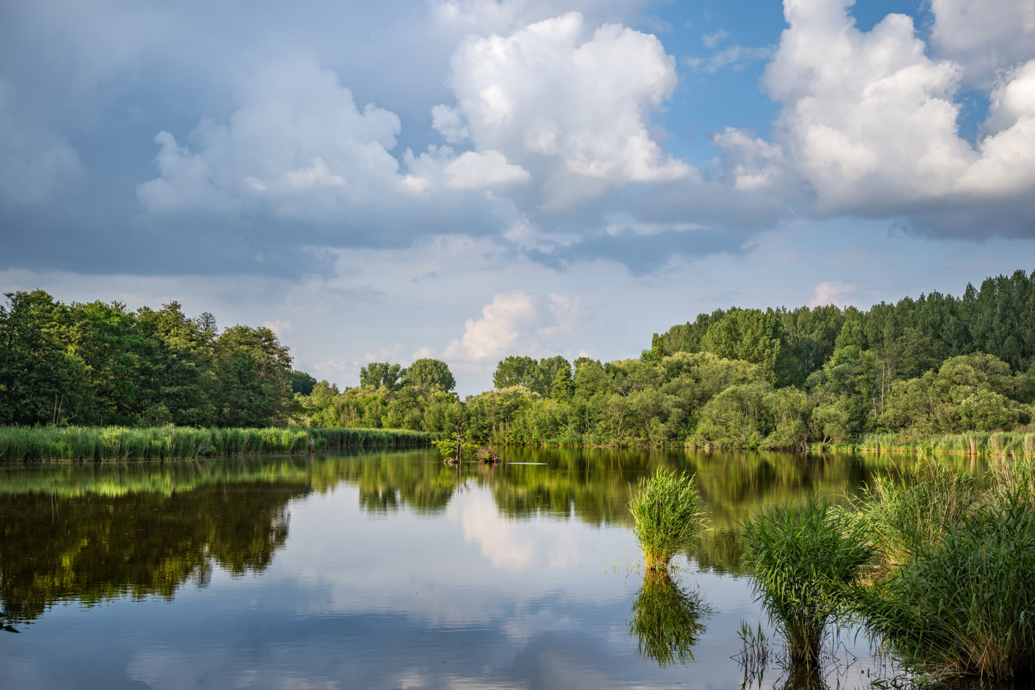Naturpark Barnim – Bild 3