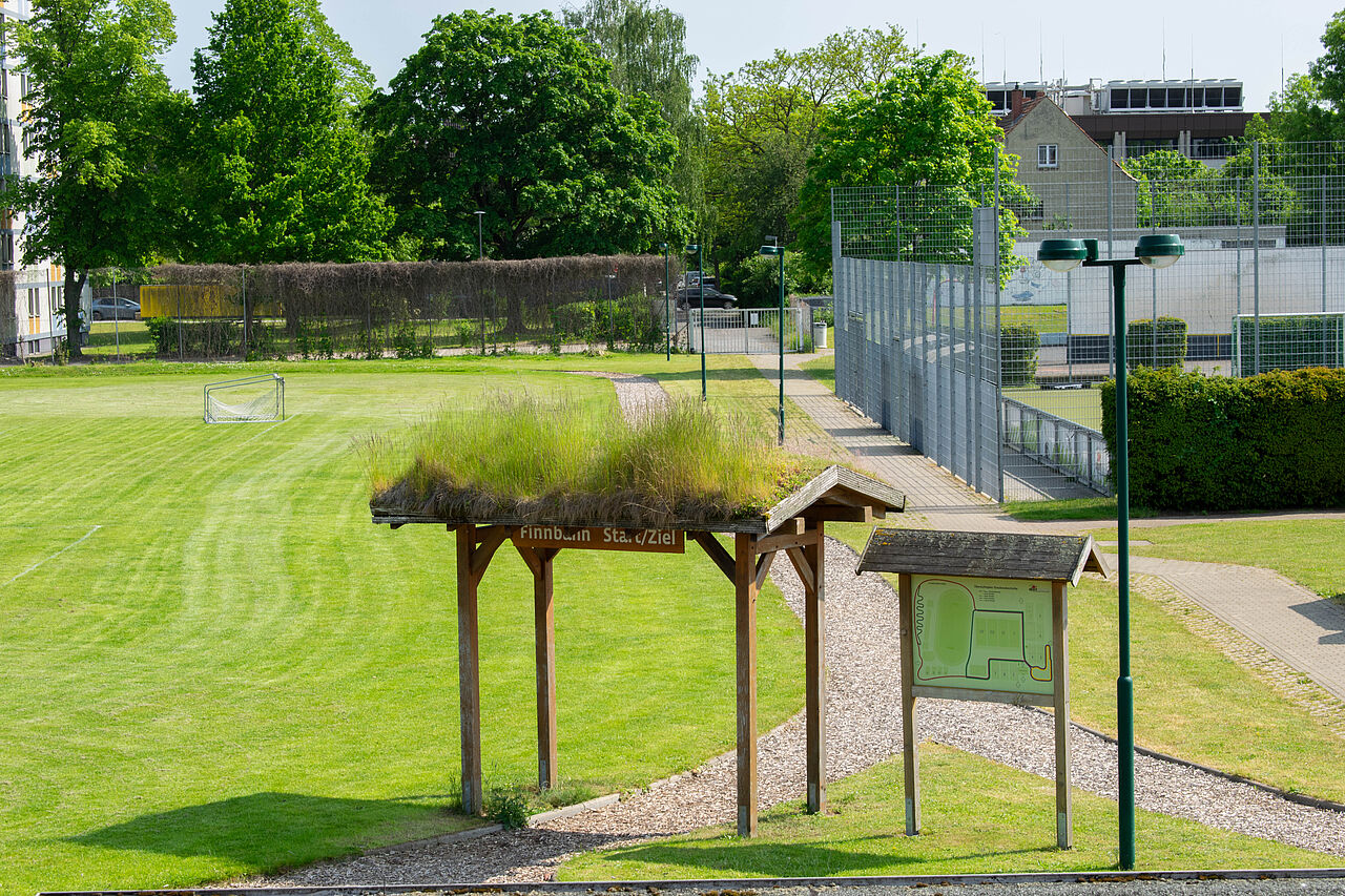 Fußballplatz und Netzspinne – Bild 2