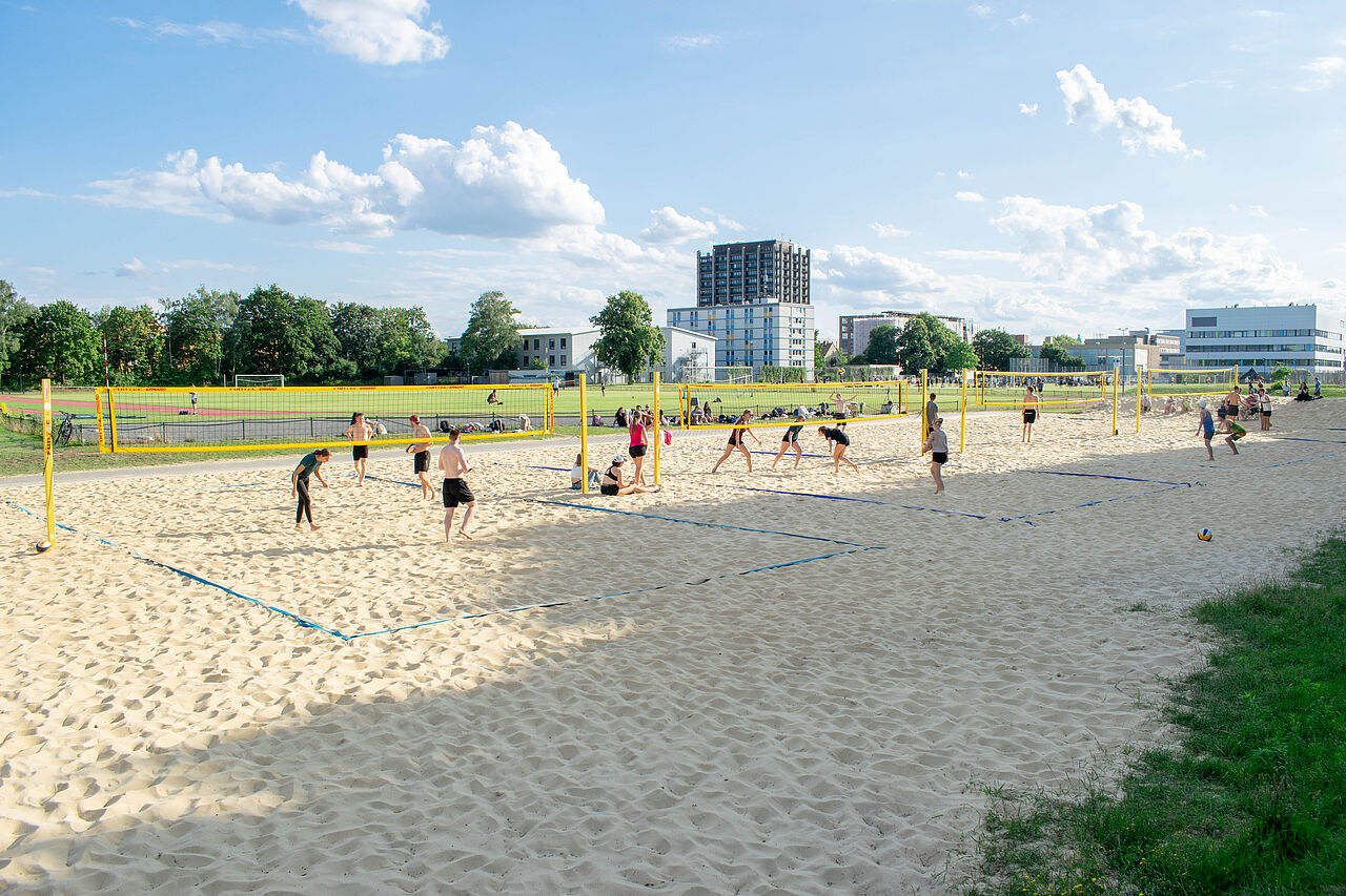 Fußballplatz und Netzspinne – Bild 3
