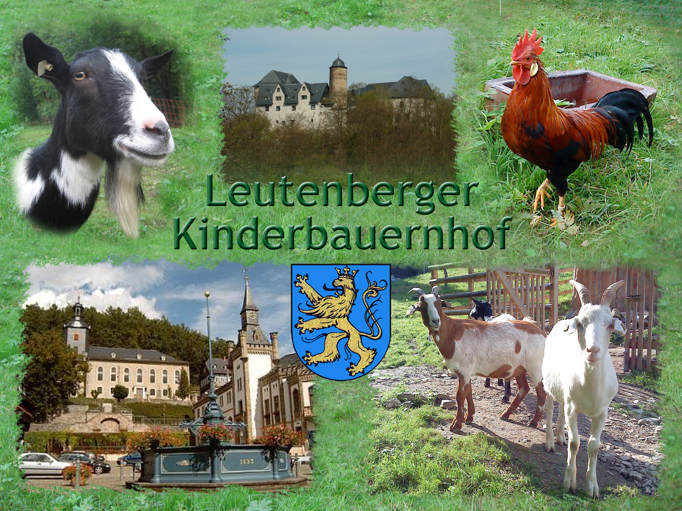 Leutenberger Kinderbauernhof im Grünen e.V. – Bild 4