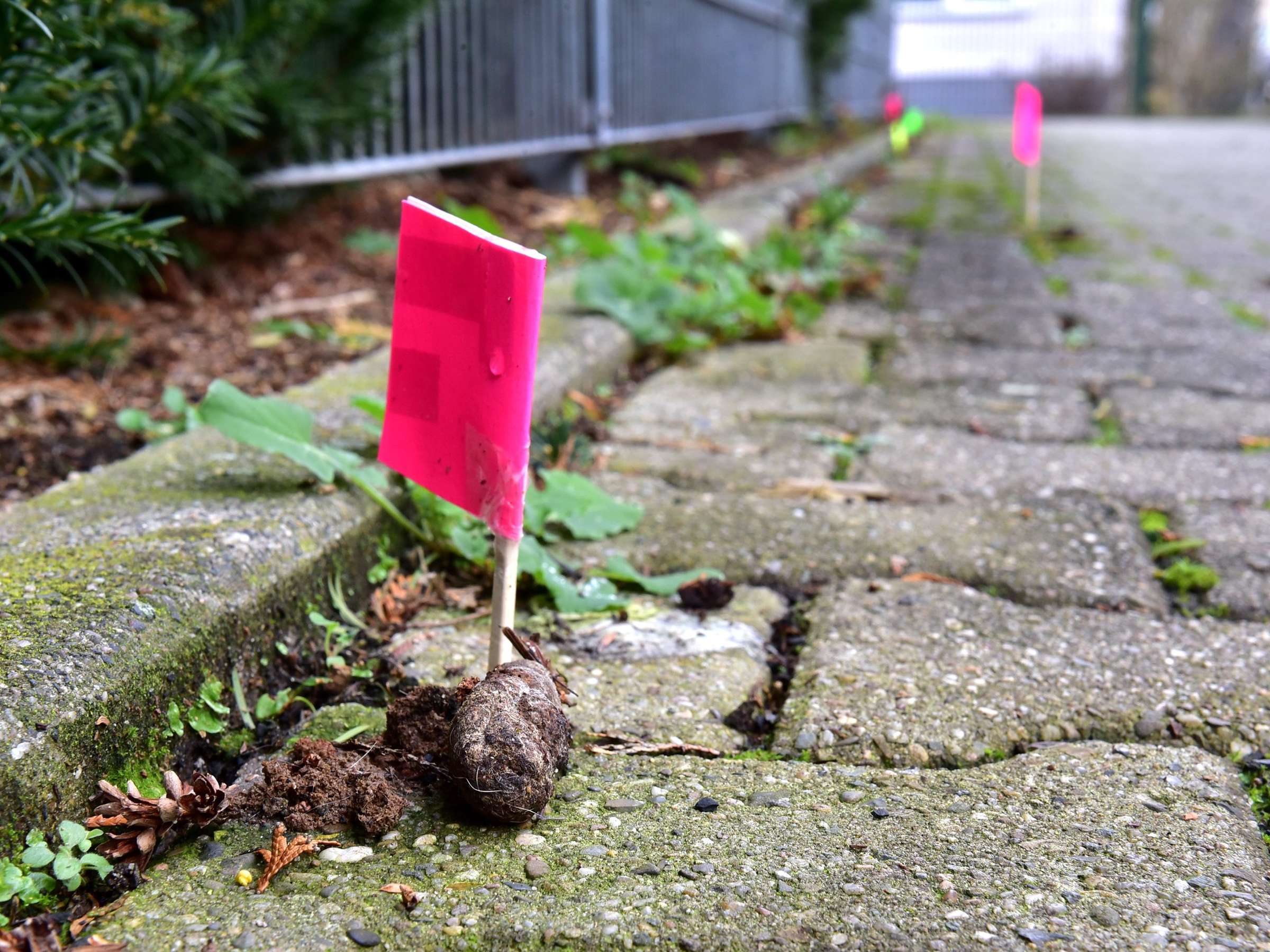 Bolzplatz Waldenburger Straße – Bild 5