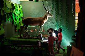 Maison de la Nature Direction des Ecoles – Bild 3