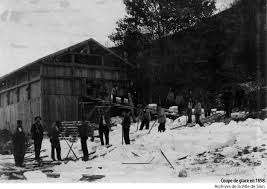 Maison de la Nature Direction des Ecoles – Bild 5