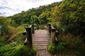 Maison de la Nature Direction des Ecoles – Bild 6