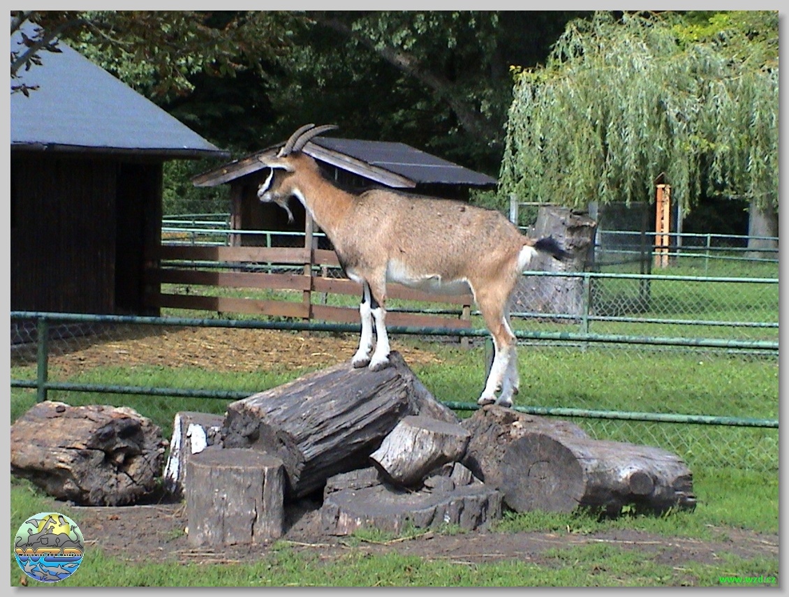 Tiergehege Anklam – Bild 2