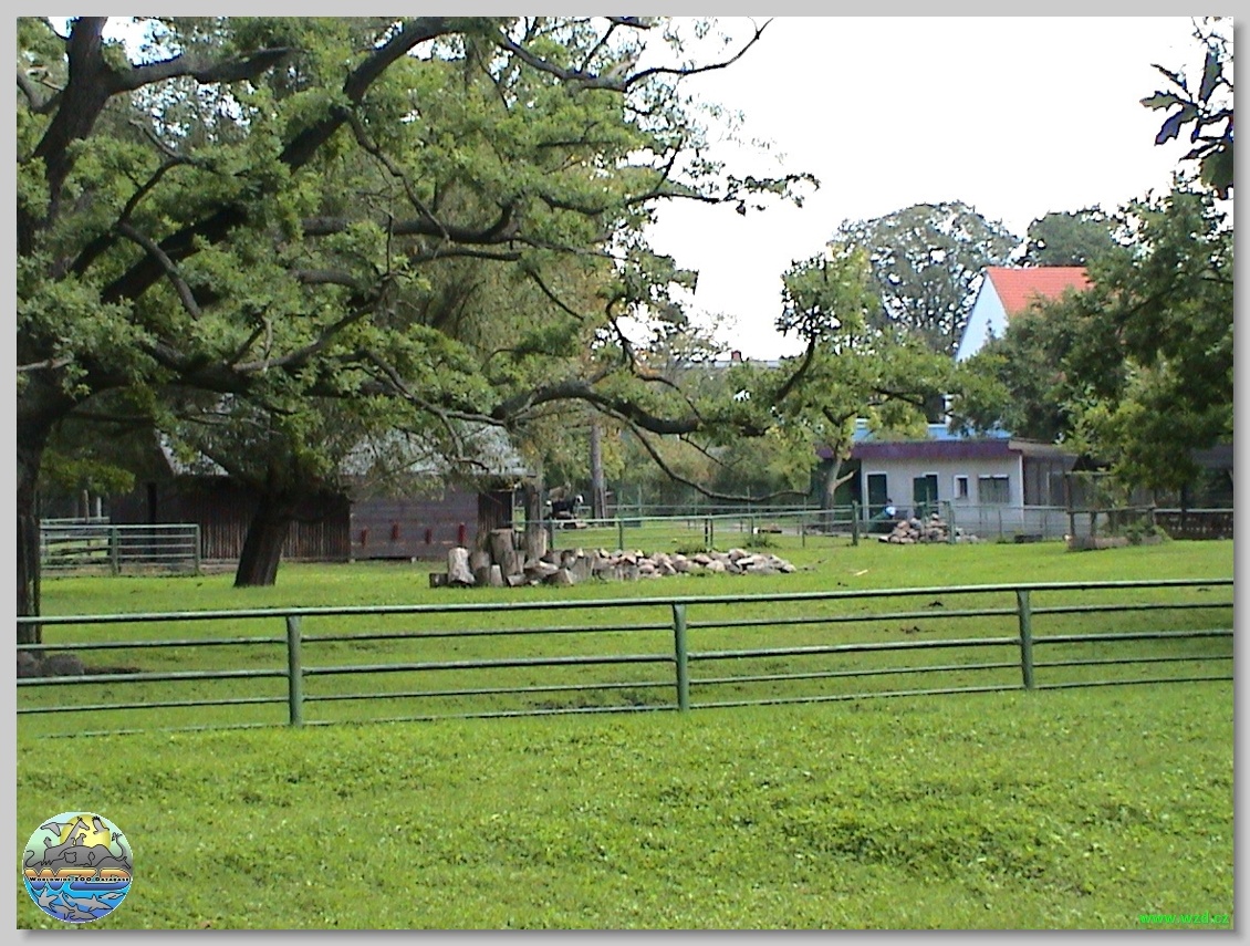 Tiergehege Anklam – Bild 4