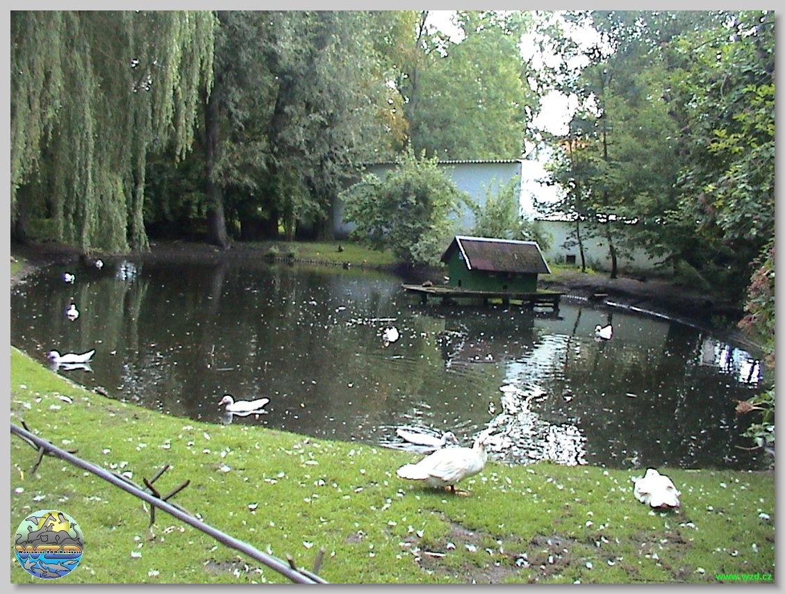 Tiergehege Anklam – Bild 6