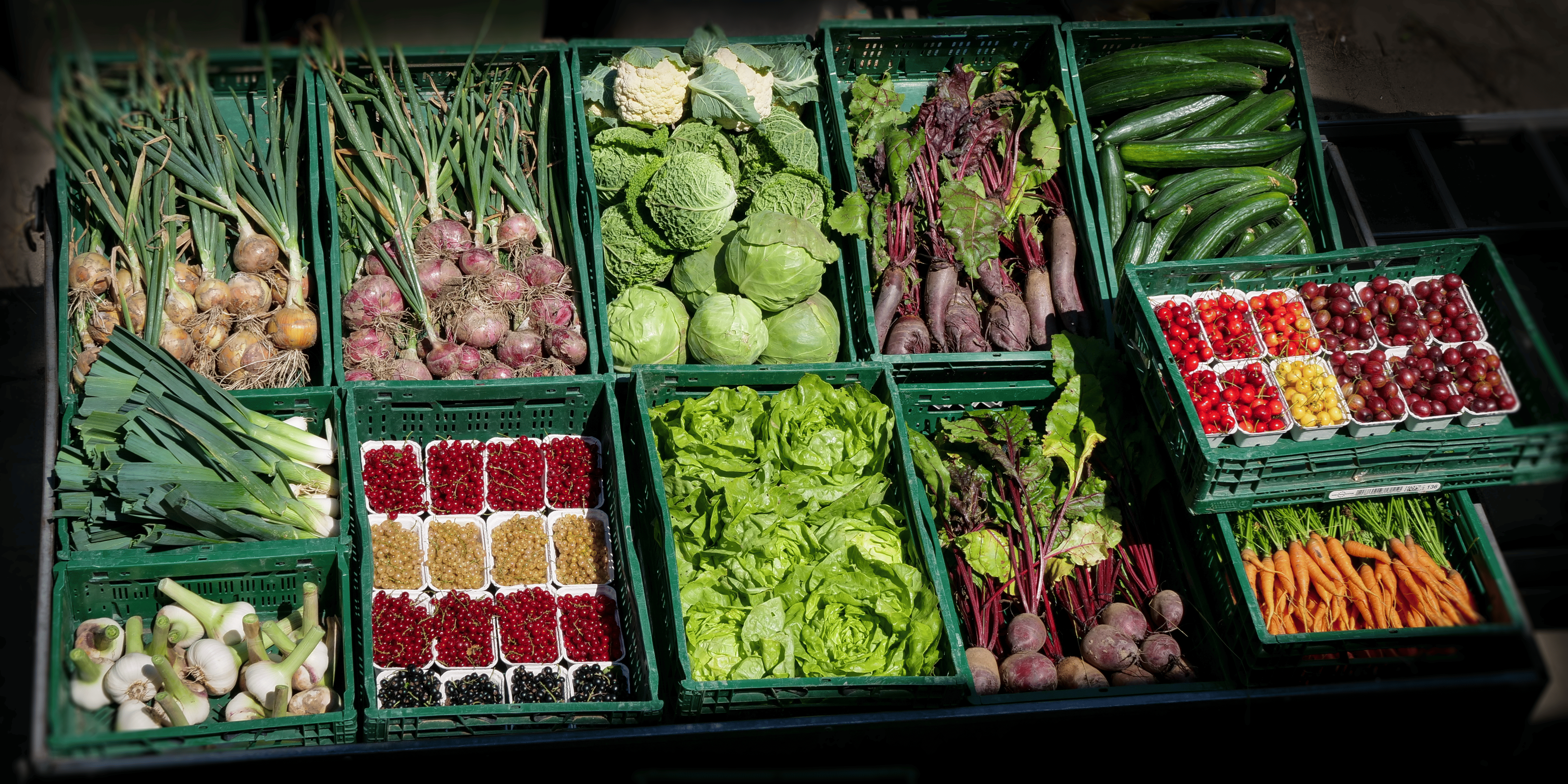 Bauernhof Santo – Bild 3