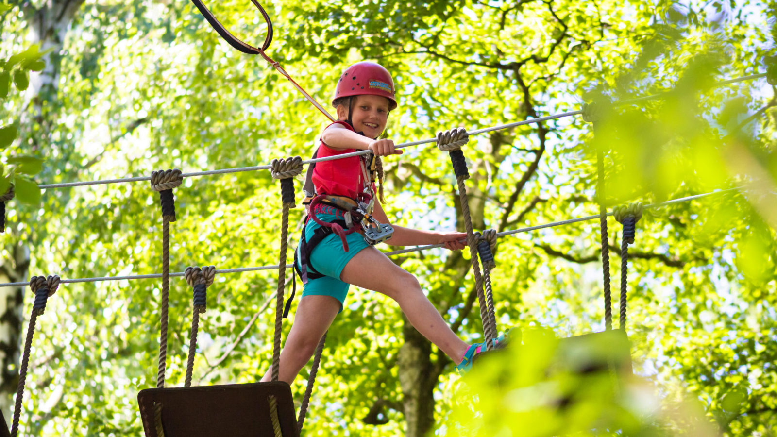 Kletterwald Zittauer Gebirge – Bild 2