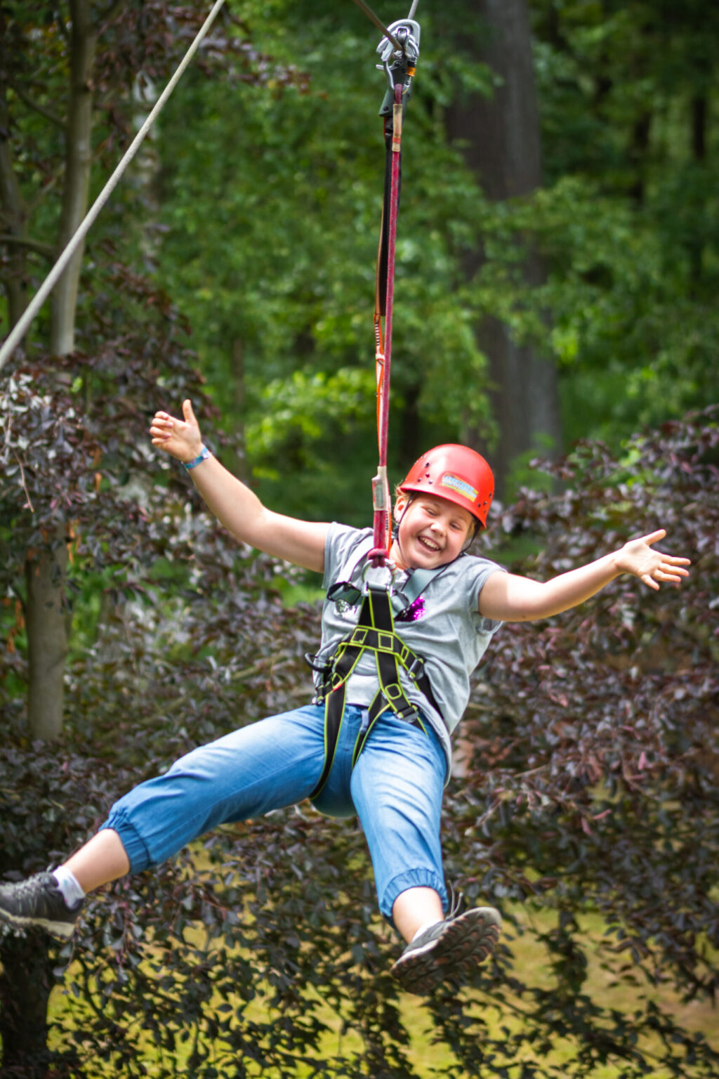 Kletterwald Zittauer Gebirge – Bild 4