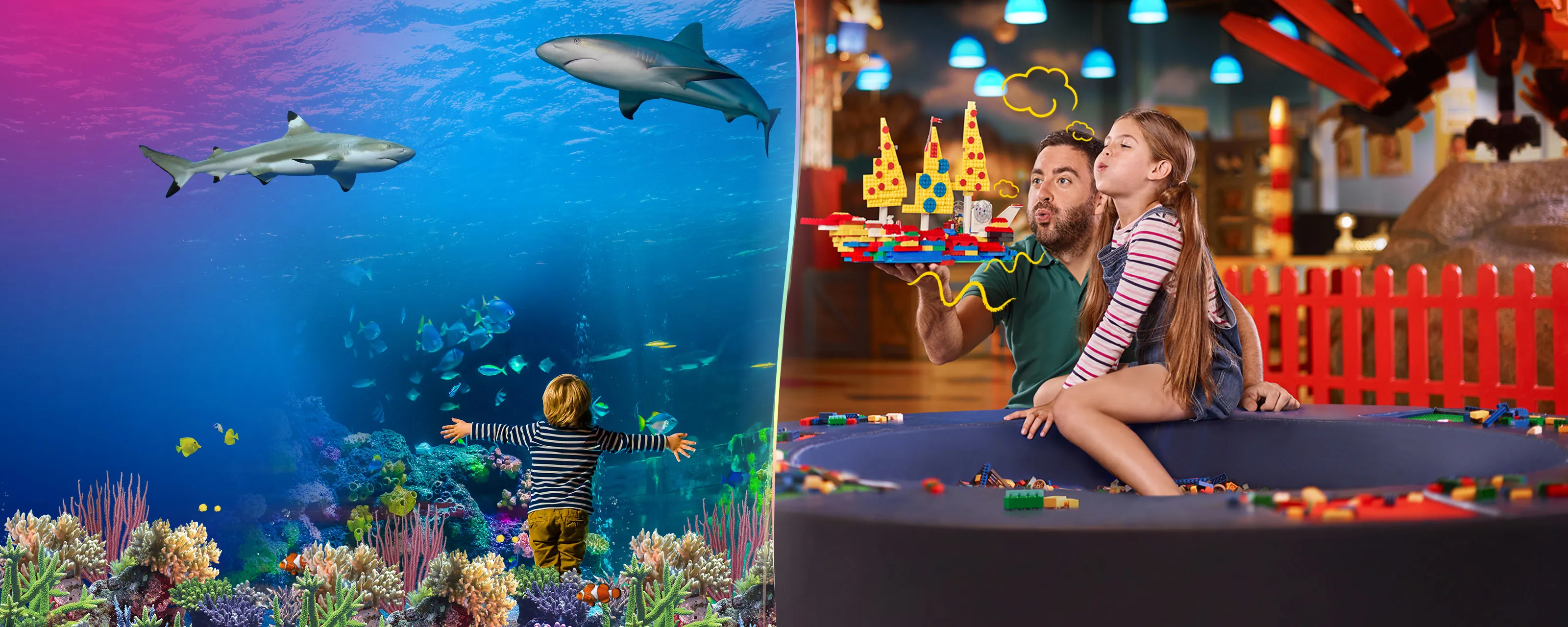 SEA LIFE Oberhausen – Bild 4