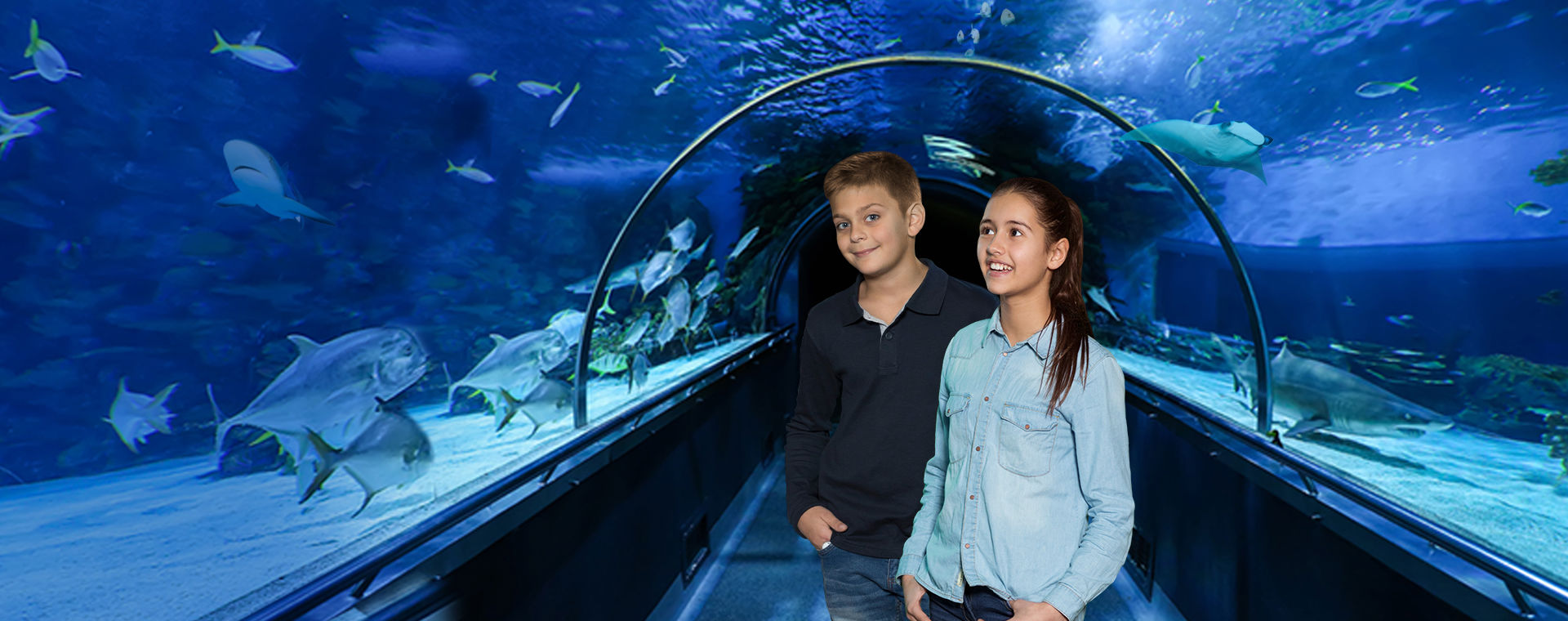 SEA LIFE Oberhausen – Bild 6