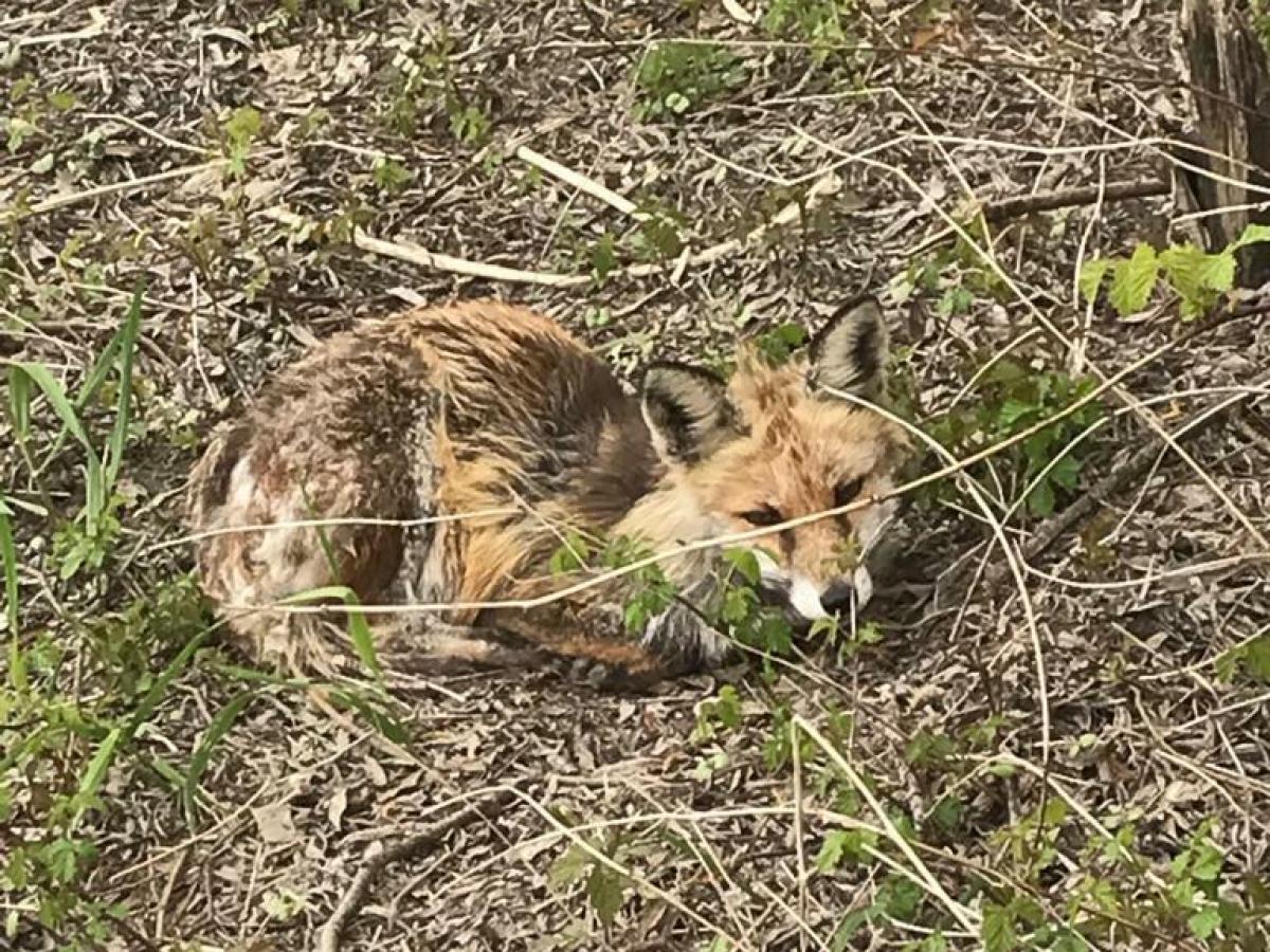 G'hau Spielplatz – Bild 1