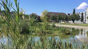 Liebefeld Park – Bild 5