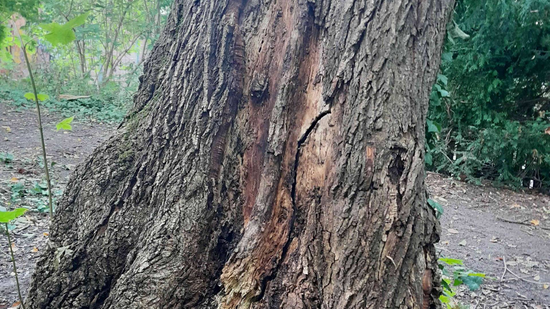 Spielplatz im Domgrund – Bild 2