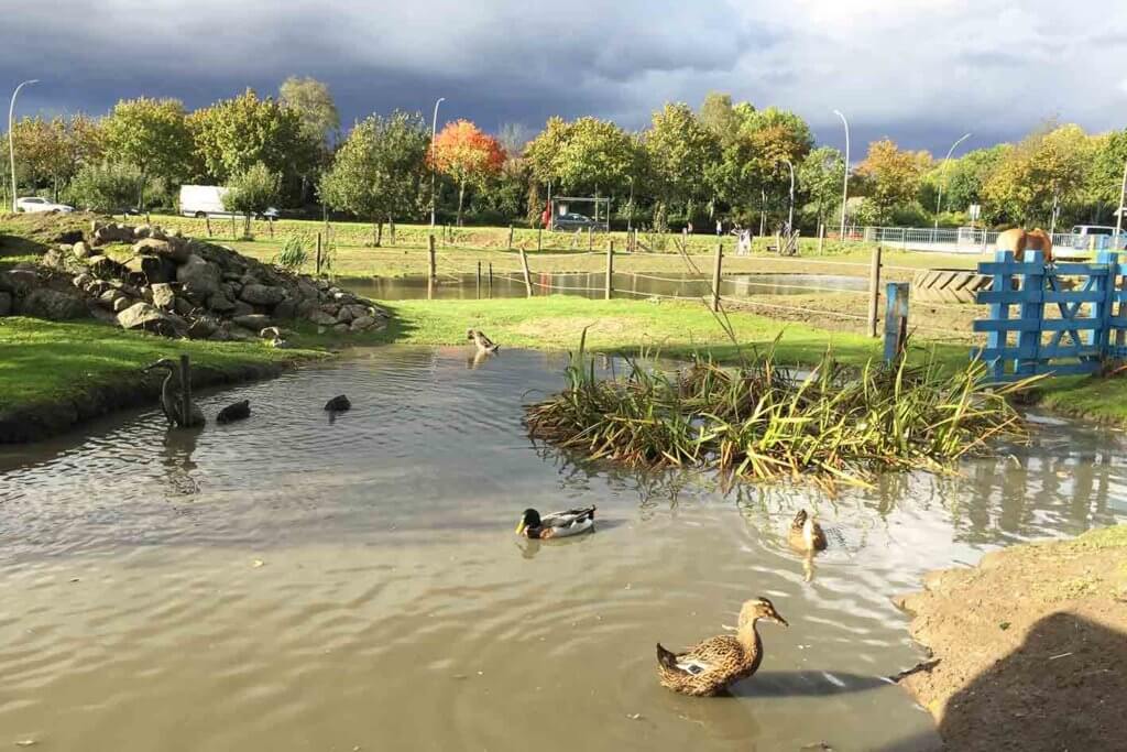 Kinderbauernhof Kirchdorf e.V. – Bild 3